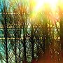 Restlicht 2
